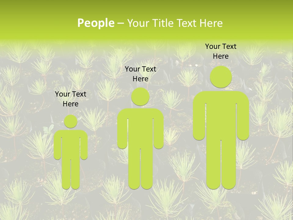 Life Development Gain PowerPoint Template