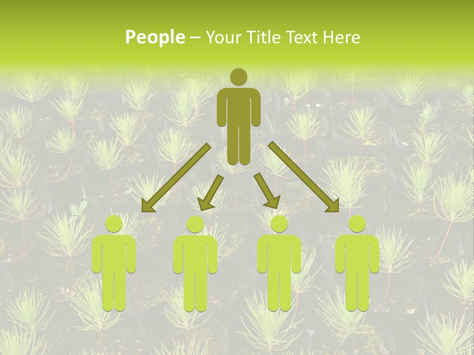 Life Development Gain PowerPoint Template