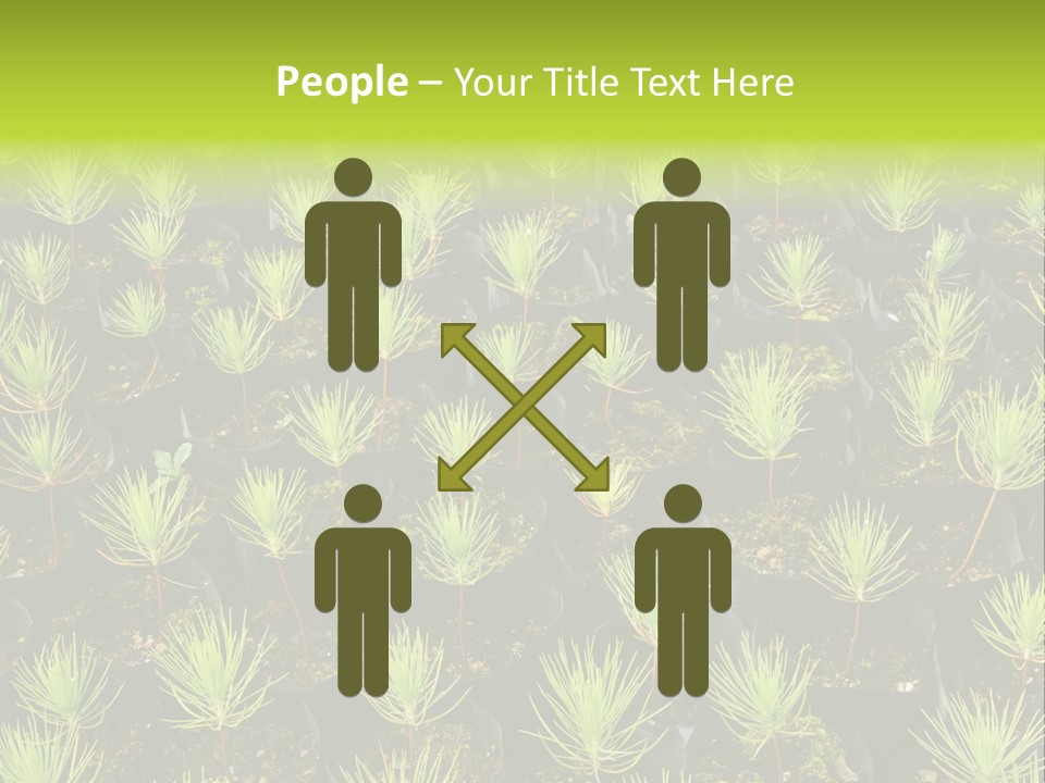 Life Development Gain PowerPoint Template