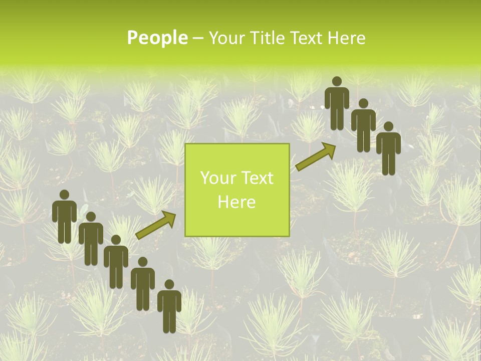 Life Development Gain PowerPoint Template