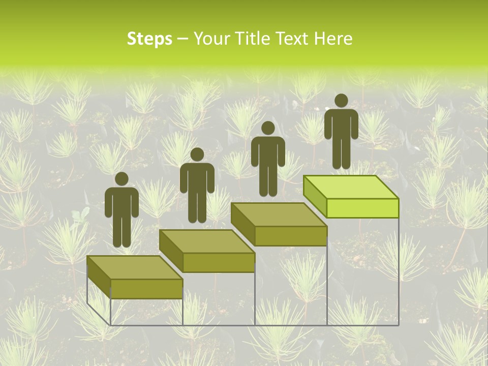 Life Development Gain PowerPoint Template