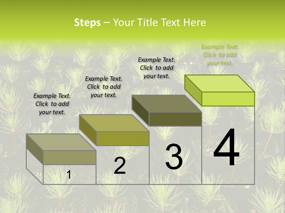 Life Development Gain PowerPoint Template