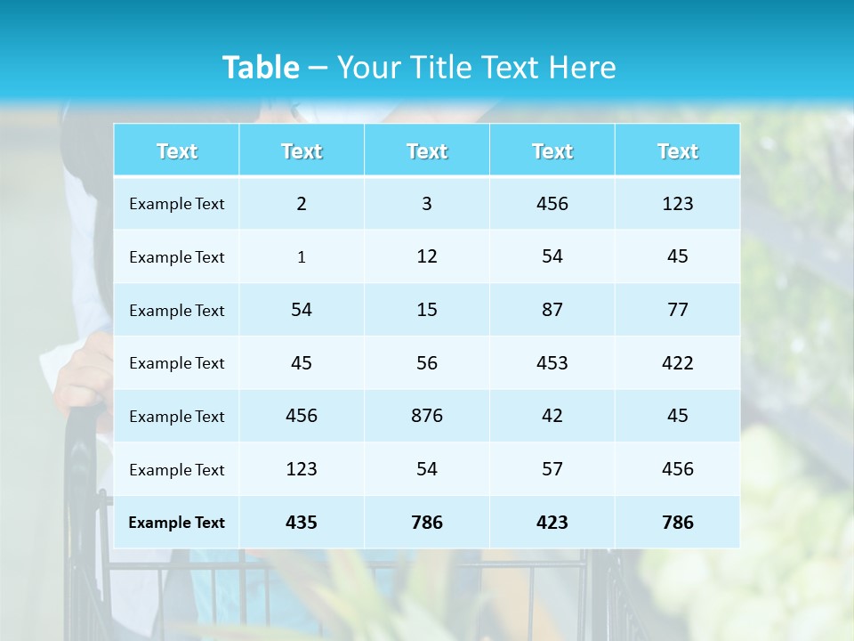 Retail Store  PowerPoint Template