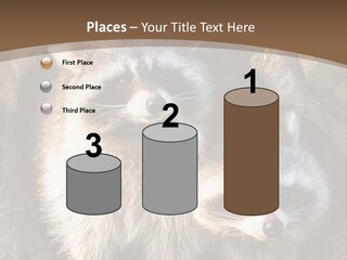 Scared Animal Omnivore PowerPoint Template