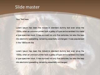 Scared Animal Omnivore PowerPoint Template