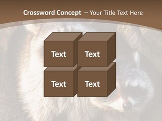 Scared Animal Omnivore PowerPoint Template