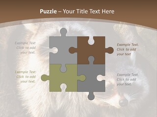 Scared Animal Omnivore PowerPoint Template