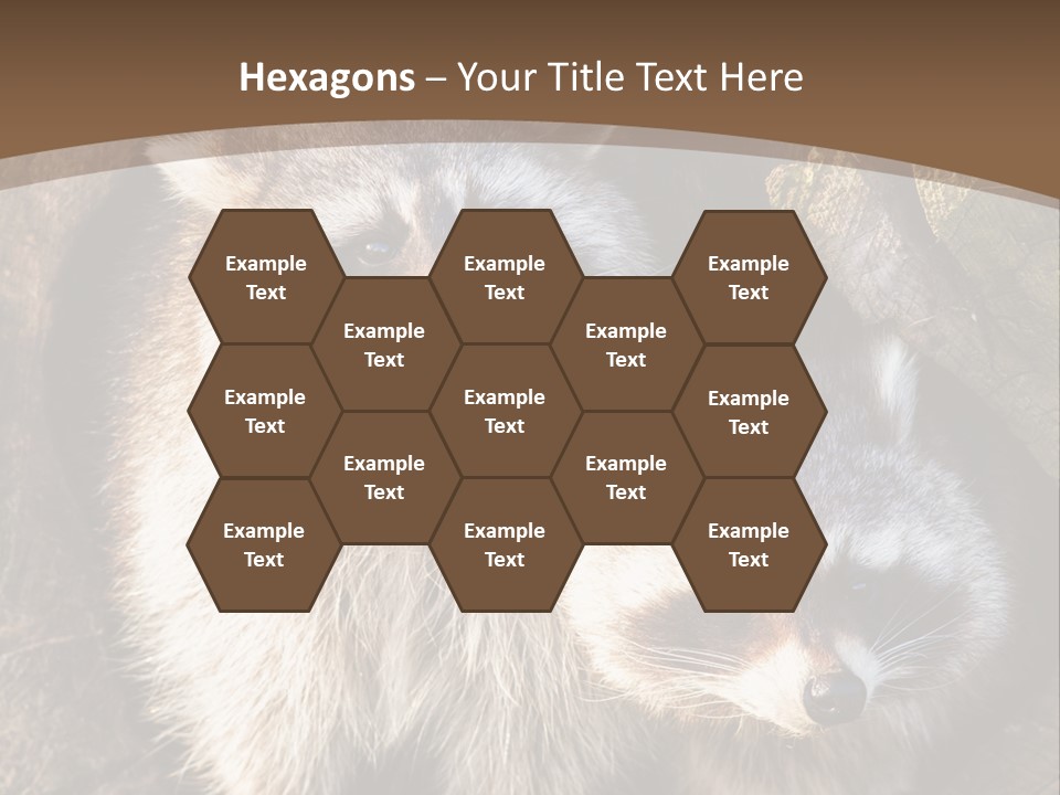 Scared Animal Omnivore PowerPoint Template