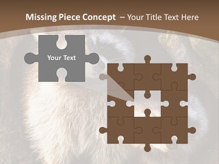 Scared Animal Omnivore PowerPoint Template