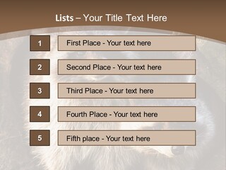 Scared Animal Omnivore PowerPoint Template
