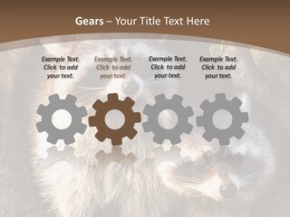 Scared Animal Omnivore PowerPoint Template