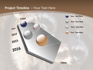 Scared Animal Omnivore PowerPoint Template