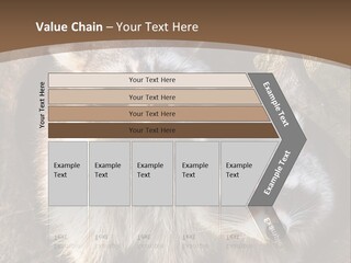 Scared Animal Omnivore PowerPoint Template