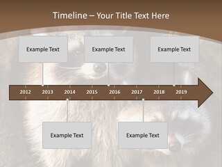 Scared Animal Omnivore PowerPoint Template