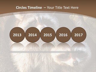 Scared Animal Omnivore PowerPoint Template