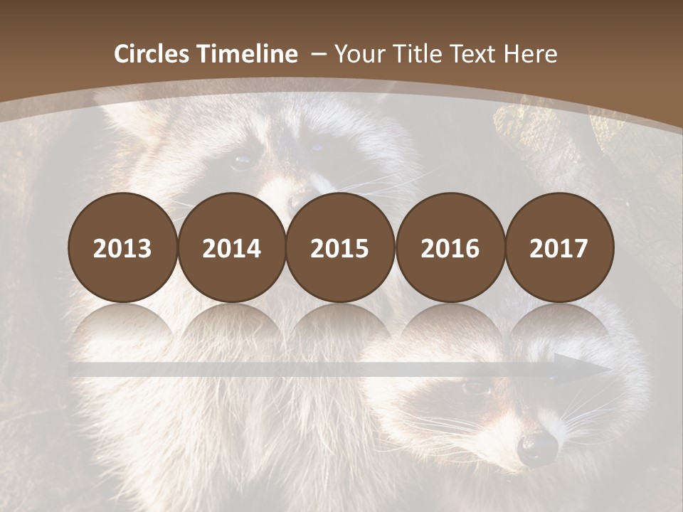 Scared Animal Omnivore PowerPoint Template