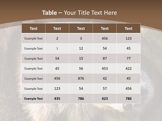 Scared Animal Omnivore PowerPoint Template