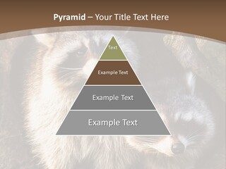 Scared Animal Omnivore PowerPoint Template