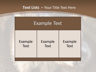Scared Animal Omnivore PowerPoint Template