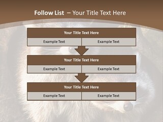 Scared Animal Omnivore PowerPoint Template