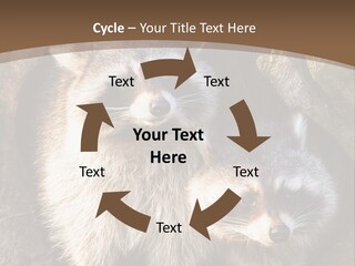 Scared Animal Omnivore PowerPoint Template