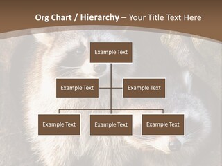 Scared Animal Omnivore PowerPoint Template