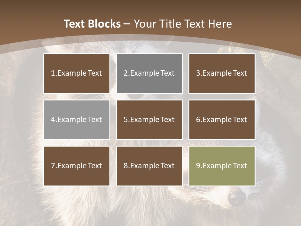 Scared Animal Omnivore PowerPoint Template