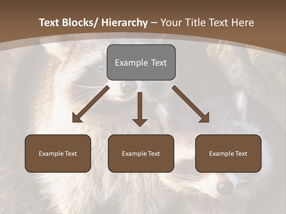 Scared Animal Omnivore PowerPoint Template