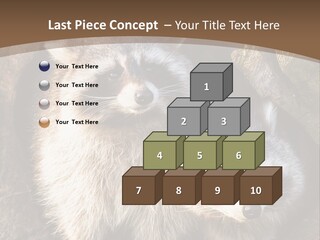 Scared Animal Omnivore PowerPoint Template