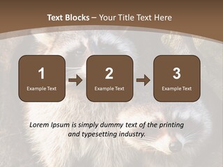 Scared Animal Omnivore PowerPoint Template