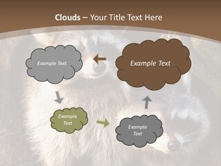 Scared Animal Omnivore PowerPoint Template