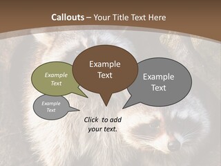 Scared Animal Omnivore PowerPoint Template