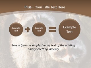 Scared Animal Omnivore PowerPoint Template