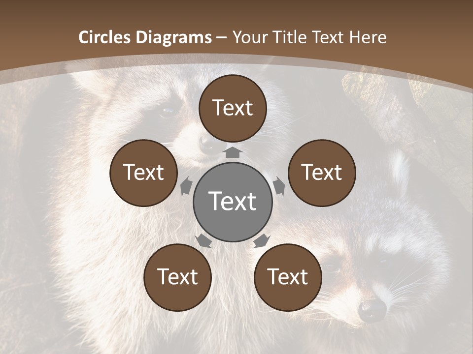 Scared Animal Omnivore PowerPoint Template