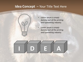 Scared Animal Omnivore PowerPoint Template