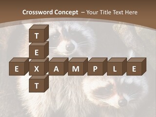 Scared Animal Omnivore PowerPoint Template