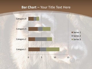 Scared Animal Omnivore PowerPoint Template