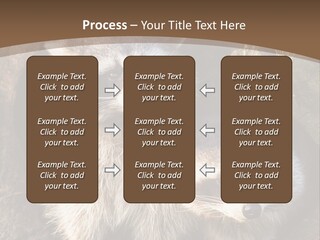 Scared Animal Omnivore PowerPoint Template