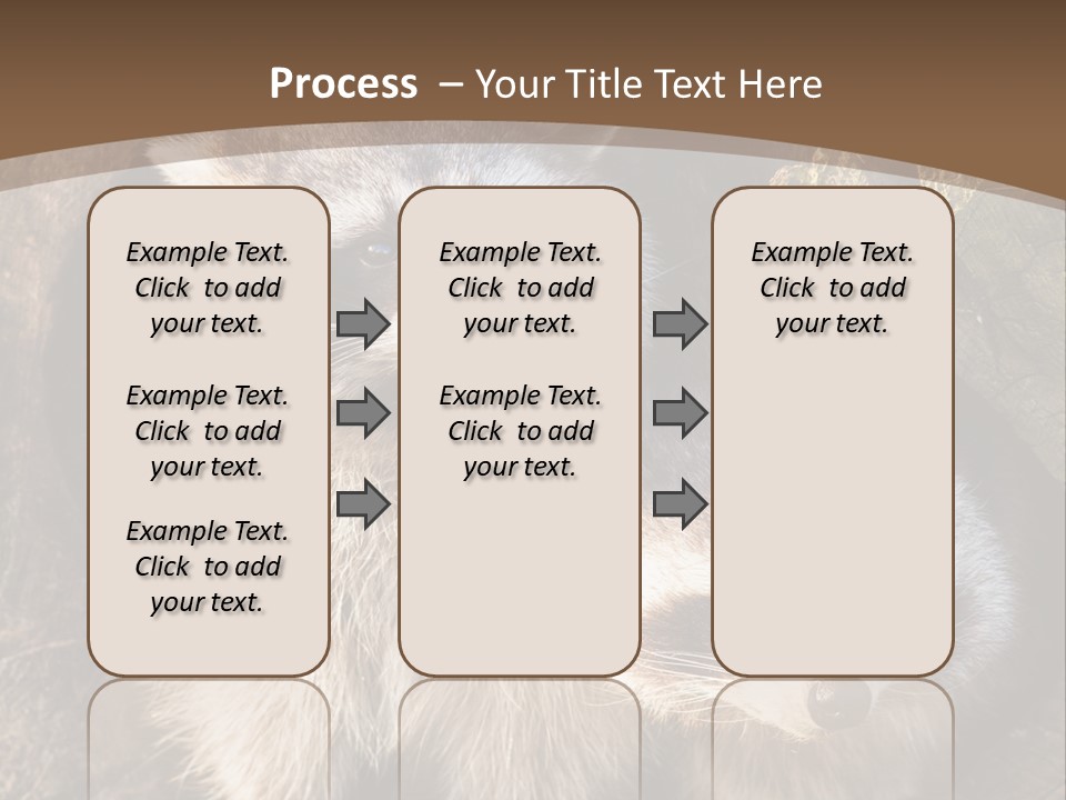 Scared Animal Omnivore PowerPoint Template