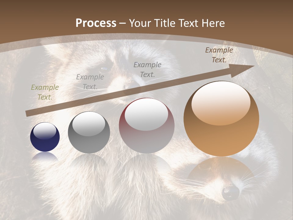 Scared Animal Omnivore PowerPoint Template