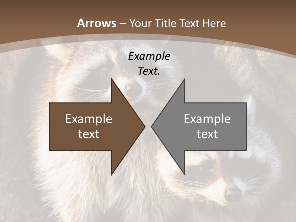 Scared Animal Omnivore PowerPoint Template