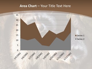 Scared Animal Omnivore PowerPoint Template