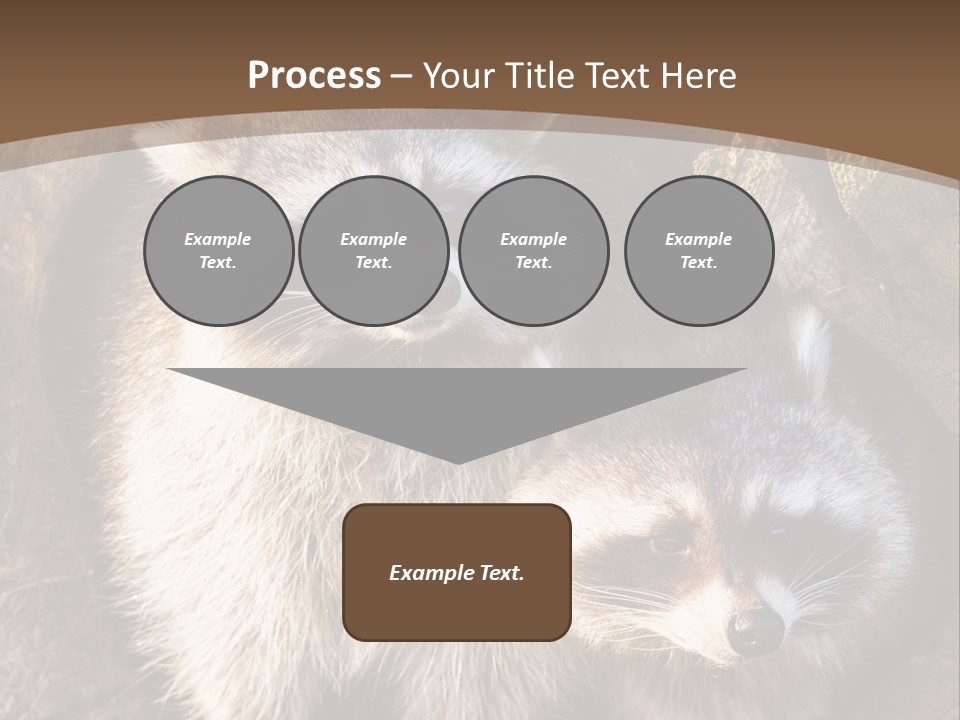 Scared Animal Omnivore PowerPoint Template