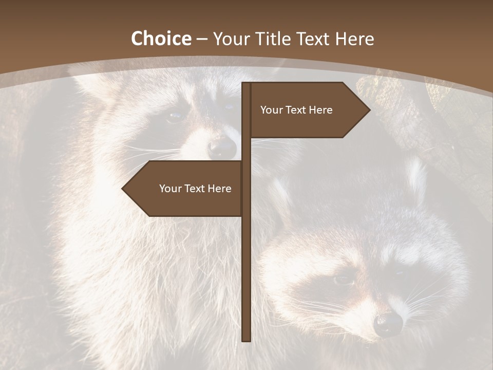 Scared Animal Omnivore PowerPoint Template