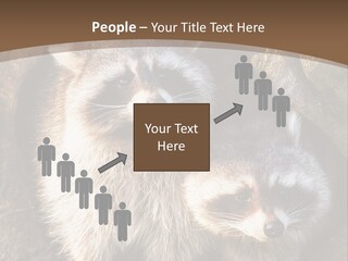 Scared Animal Omnivore PowerPoint Template