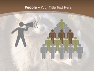 Scared Animal Omnivore PowerPoint Template