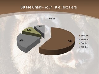Scared Animal Omnivore PowerPoint Template