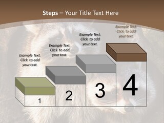 Scared Animal Omnivore PowerPoint Template