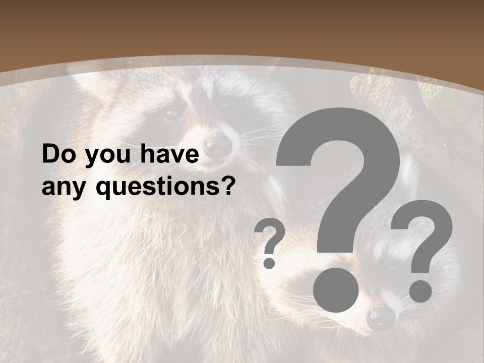 Scared Animal Omnivore PowerPoint Template