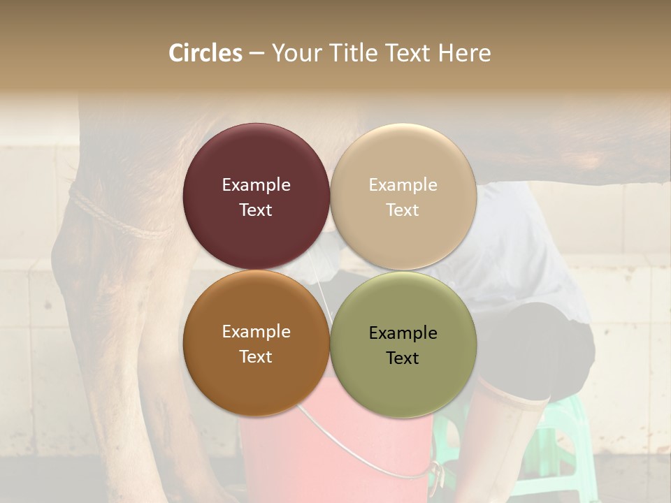 Nipple Milk Maid Woman PowerPoint Template